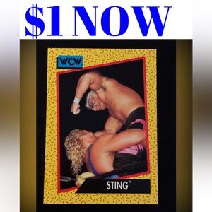 Sting 1991 Rookie RC WWE WCW Wrestling Card